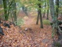 Gekke 5 minuten Gekke 5 minuten