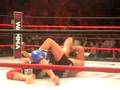 mma Fedor vs Sylvia