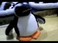 Paul The Penguin Kenyon Paul The Penguin Kenyon
