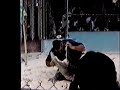 Stupid human bit by gator Stupid human bit by gator