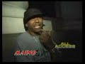 all access dvd v13