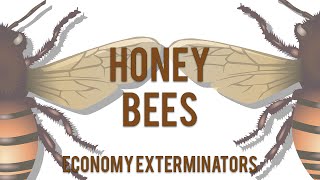 Honey Bees... we love them! Info here