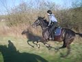 galop-na-bilardzie.html