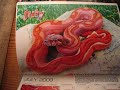 2009 Red tail boas calender