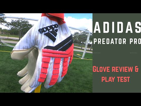 Goalkeeper Glove Review: Adidas Predator Pro "Cold Blood" GK Gloves