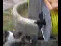 gatto a caccia di un topo