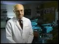 The Dangers of Aspartame Artificial Sweeteners
