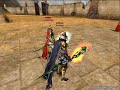 80 lvl 2x warior vs 80 lvl 2 x mage + vandalmage slayt video