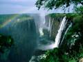The Gift Of Metta - Loving Kindness - Pass It On