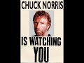 chuck norris   fast version