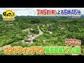 【帰れマンデー見っけ隊!!】2021年7月5日(月) 放送（2）