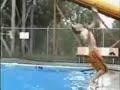 funny accident