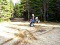 400 ex stomp wheelie
