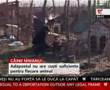 Sute de câini abandonaţi trăiesc în condiţii grele la Glina