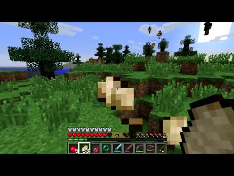 Minecraft Hunger Games! Part #4 Video