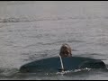 Minocqua Wakeboarding