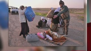 Isis Releases  Hundreds Of Yazidi Prisoners In Iraq