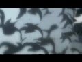 Аллен - ангел или бес