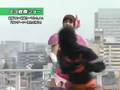 植樹祭ロングver2・ウーマン・コノハ - planting tree woman