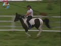 A Fazenda: André Segatti cai do cavalo