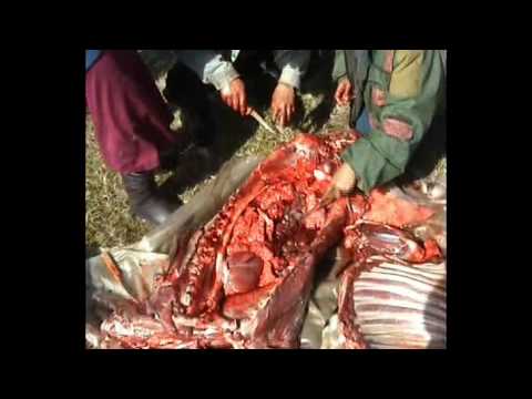 See video