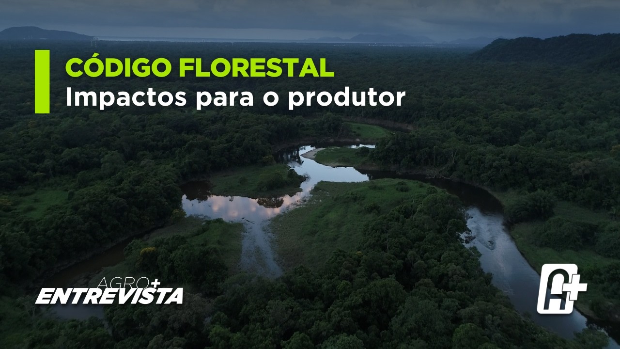 Mata Atlântica: TRF4 e Código Florestal com Deputado Sérgio Souza (MDB-PR) | Agro+ Entrevista