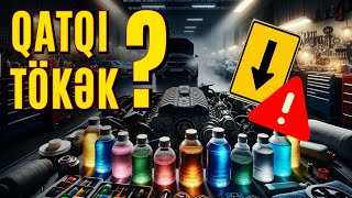 Qatqılar kömək edirmi? 25 illik təcrübəm!