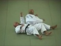 Kodokan Judo Institute 