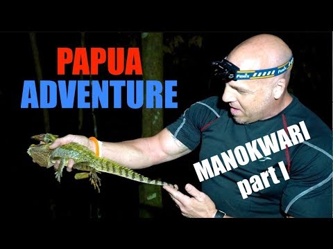 YouTube reptile video