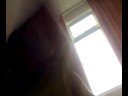 ZITO TRAVAD�O