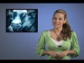 QualityStocks Daily Video 01/03/08