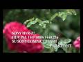 Test HD 25p Sony Hvr-Z7