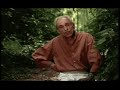 Betinho e o beija-flor Betinho e o beija-flor