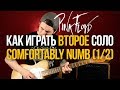 Как играть легендарное второе соло Pink Floyd "Comfortably Numb" на гитаре (Урок 1/2)