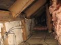 Cleaning out the crawl space, New England Cape 1842