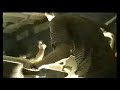 The VSS - Silt, Etc. - Live, 1995