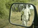 Percentage - Short film Percentage - Short film