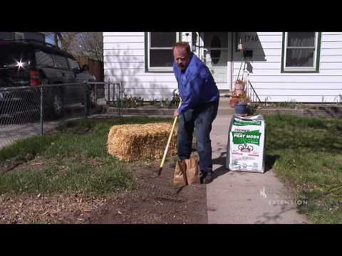 how to dig up a lawn and replant