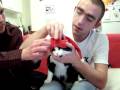 videos de Vidéo de Rémi et Vincent qui mettent le bonnet à Dypsie