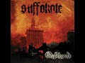 Suffokate - The Skies Were Filled With Fire