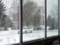 Fun with the neighbors 010.MOV