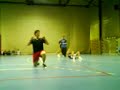 skole dans