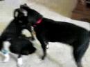 Cabo and Paco Cabo and Paco
