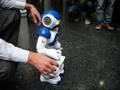 Nao Demo at WAF 2008