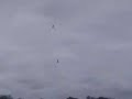 RC Airplane Pylon Racing on a Cloudy and Windy Day in Texas RC Airplane Pylon Racing on a Cloudy and Windy Day in Texas