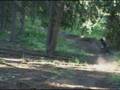 videos de Crested Butte 2008