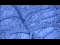 panasonic fz38 snow storming from padua padova neve dicembre 2009 hd