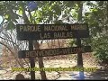 Salvemos el Parque Marino Las Baulas