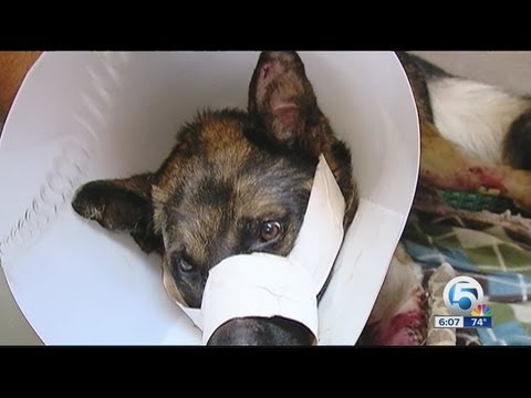 powerball florida powerball florida