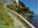 CAPRI